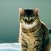 Profile Picture of May Treece (@may.treece.1) on Facebook