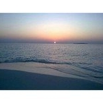 Profile Picture of Debra Skinner (@collargol7r) on Instagram