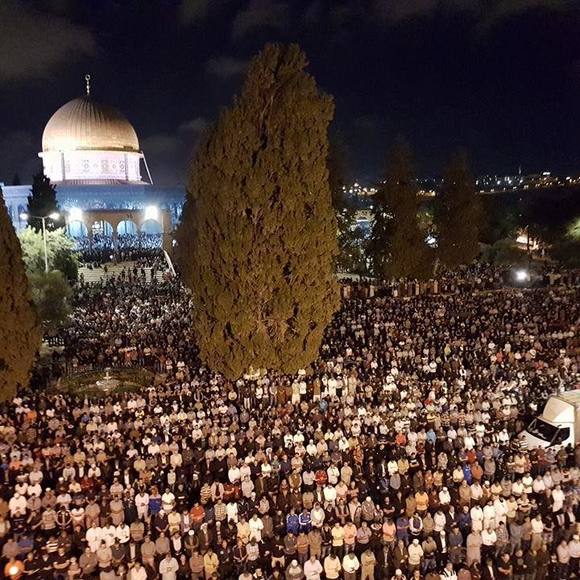 Profile Picture of Mahmoud Shaheen (@ma2210) on Poshmark