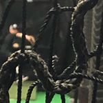 Profile Picture of gavin♾💀 (@gavin.gallagher20) on Instagram