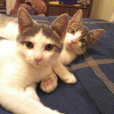 Profile Picture of Pam McClure (@Pame4j) on Twitter