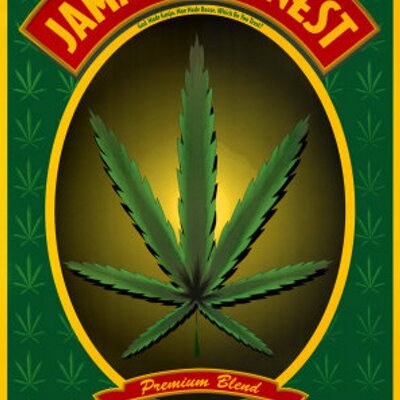 Profile Picture of Matthew Bick (@daffy09) on Twitter