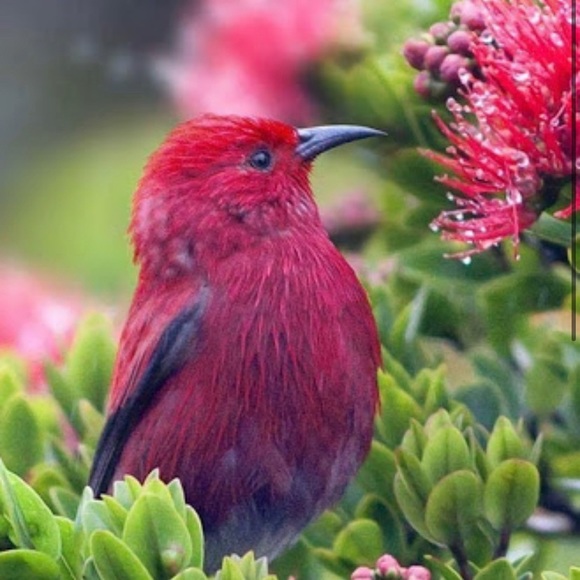 Profile Picture of Matt Dunbar (@dunbarmat02) on Poshmark