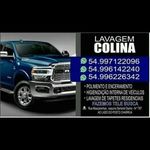 Profile Picture of Lavagem Higienizadora Colina (@lavagemehigienizadora) on Instagram