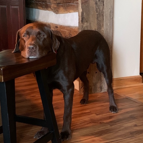 Profile Picture of Kim Stange (@kimstange1414) on Poshmark