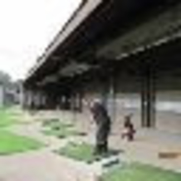 Profile Picture of Goran Stefanovic (@stefano941) on Poshmark