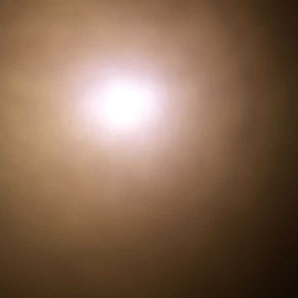 Profile Picture of Kelly Noser (@kellynoser) on Poshmark