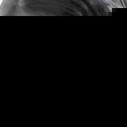 Profile Picture of Alethia Mckinney (@aligatormack) on Myspace