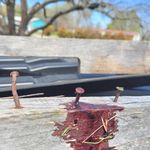 Profile Picture of Steffan Karl Pritzl (@karlpritzl) on Instagram