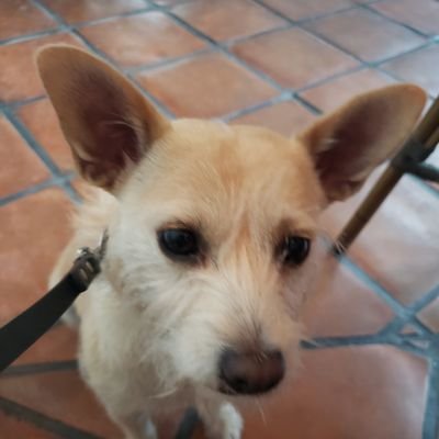 Profile Picture of Michael Quintal (@mlquintal) on Twitter