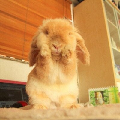 Profile Picture of Dane William (@DaneWilliam518) on Twitter