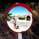 Profile Picture of David Leon Pecci (@peccile) on Instagram