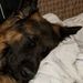 Profile Picture of Sula Thomas (@wookiesula) on Pinterest