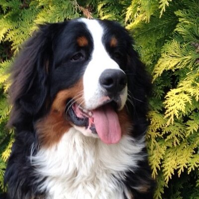 Profile Picture of Lisa Claridge (@m_claridge) on Twitter