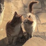 Profile Picture of Franchesca Padullo (@ksxjsj_143) on Instagram