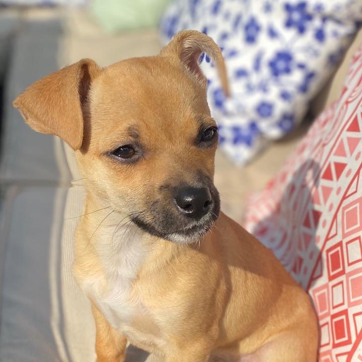 Profile Picture of Christine Mulhern (@@christinemulhern) on Tiktok