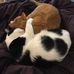 Profile Picture of Kylie Bigler (@kylie.bigler.75) on Facebook