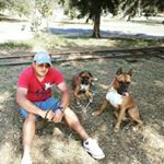 Profile Picture of Manuel Picazo (@picazomanuel) on Instagram