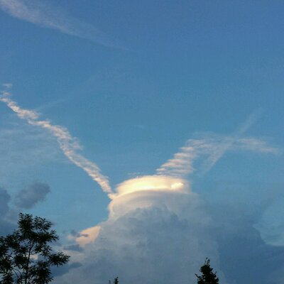 Profile Picture of Orhan Ozturk (@orhanozturk6948) on Twitter