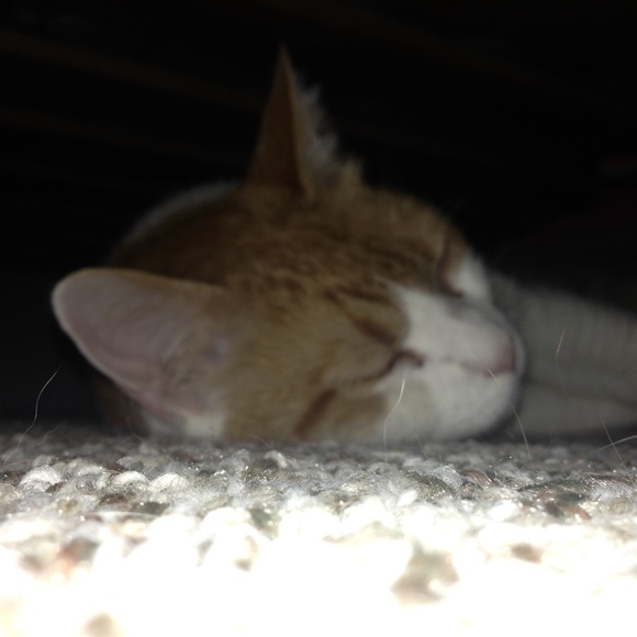 Profile Picture of Emily Malabe (@emily_nike) on Poshmark