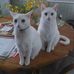 Profile Picture of Carol Strader (@carol.strader.96) on Facebook