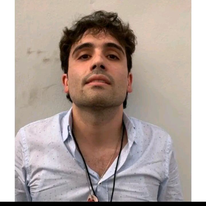 Profile Picture of Danielgusman (@danielcepeda578) on Tiktok