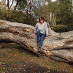 Profile Picture of Janine Shaw (@janineshaw7352) on Instagram
