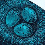 Profile Picture of Hilary Holmes (@hilaryholmesglass) on Instagram