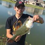 Profile Picture of Beverly_fishes (@beverly_fishes) on Instagram