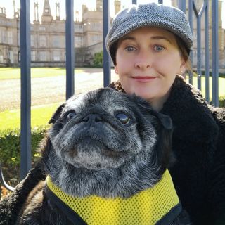 Profile Picture of Katy McNally (@pugmum) on Instagram