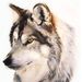 Profile Picture of Daniel Pontier (@danielpontier83) on Pinterest