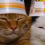 Profile Picture of Candy Ackerman (@Candy-Ackerman) on Facebook