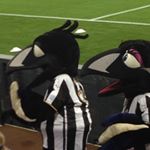 Profile Picture of Mackenzie Ian Welsh (@mackenzie_welsh_lol) on Instagram