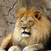 Profile Picture of Jeff Crew (@jeff.crew.161) on Facebook