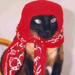 Profile Picture of Monique Harrison (@Rightasrain44) on Twitter