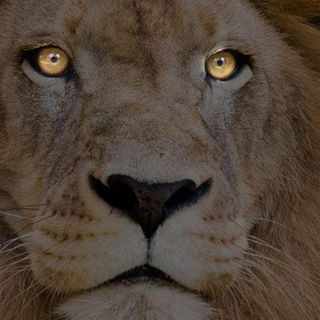 Profile Picture of Martin Creation Stepper (Creation Stepper) (@martin.creationstepper) on Facebook
