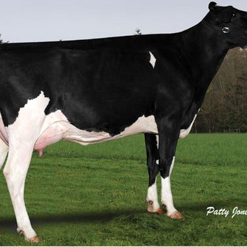 Profile Picture of Andrew Allan (@rdnkfarmer) on Twitter