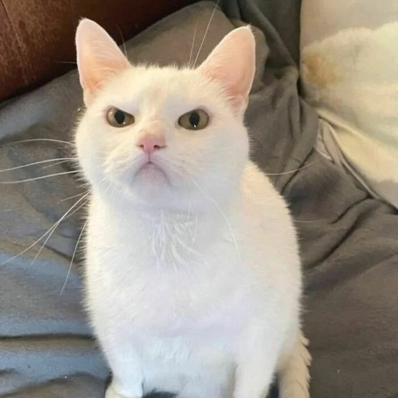 Profile Picture of Robert Moberly (@rlmoberly91) on Poshmark