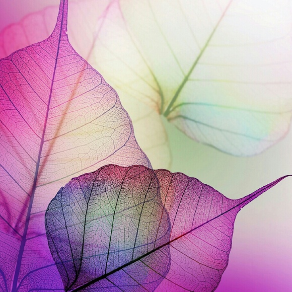 Profile Picture of Marissa Schmidt (@mschmidt44) on Poshmark