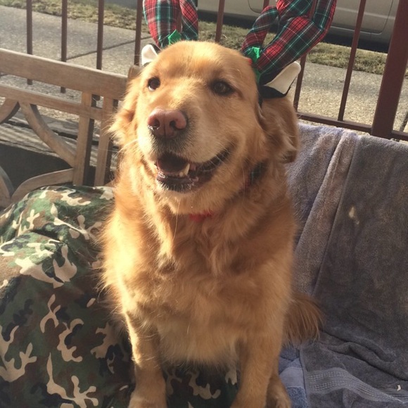 Profile Picture of Ashley Fieber (@ashley909) on Poshmark