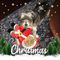 Profile Picture of Diana Petrovits Soderburg (@diana.soderburg) on Facebook