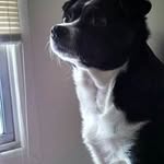 Profile Picture of Scott Widen (@widenscott) on Instagram