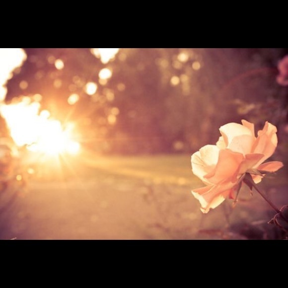 Profile Picture of Mill Hunkin (@mmf684) on Poshmark