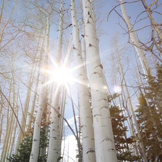 Profile Picture of Bogdan Preda (@Bogdan-Preda) on Facebook