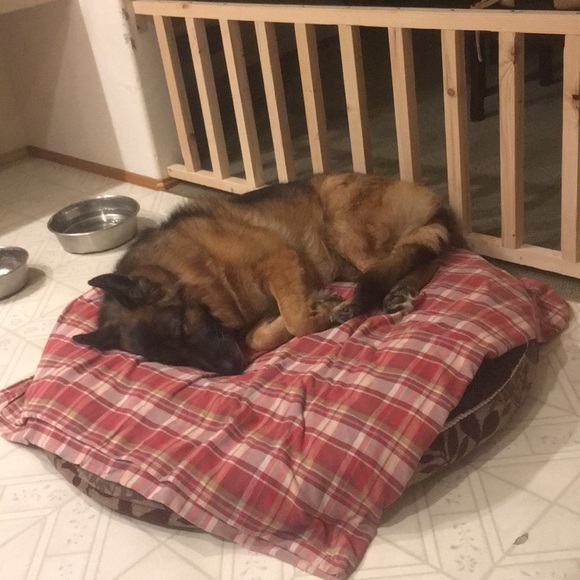 Profile Picture of Sarah Andrews (@rla867) on Poshmark