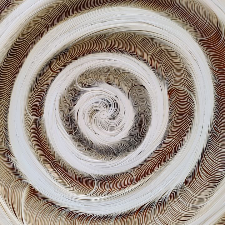 Profile Picture of Jacob Lathrop (@jacoblathrop) on Tiktok