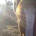 Profile Picture of Ruth Hamberg (@rehamberg) on Pinterest