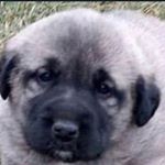 Profile Picture of Taylor Durden (@tylrdrdn39) on Instagram