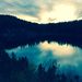Profile Picture of Erika Nestor (@nest3591) on Pinterest