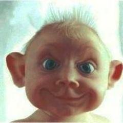 Profile Picture of Steve McComb (@SteveMcComb1) on Twitter